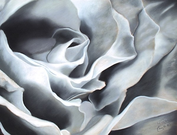 045 Petales.jpg - Gris (65x50 cm)